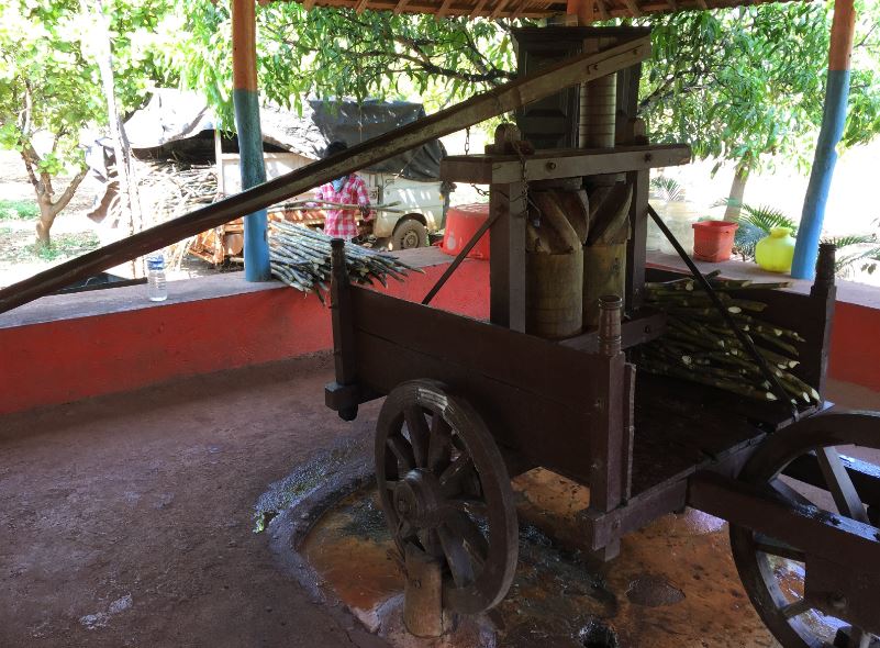 Agadi Thota